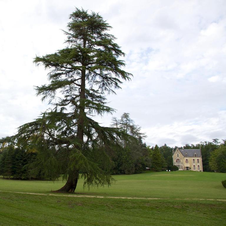Chateau La Thuiliere Saint-Front-de-Pradoux Екстер'єр фото